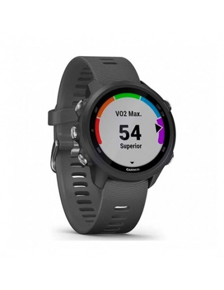 Smartwatch Garming Sportwatch Forerunner 245 Gris