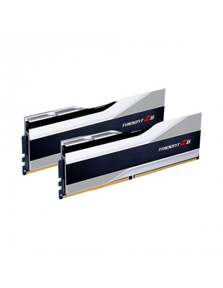 Memoria RAM DDR5 32GB 5600MHz G Skill Trident Gris